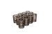 Valve Springs